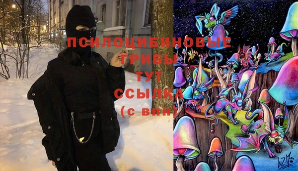 PSILOCYBIN Нязепетровск