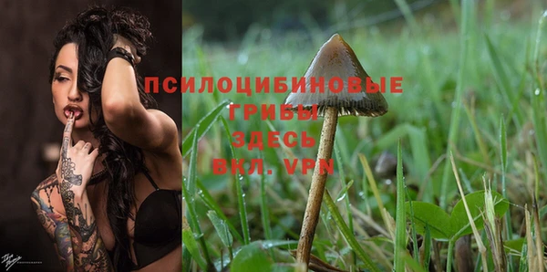 ПСИЛОЦИБИНОВЫЕ ГРИБЫ Алексеевка