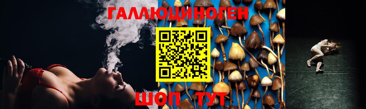 Ржев  Галлюциногенные грибы прущие грибы  Вход с VPN 